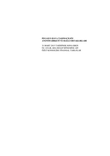 Miniature Pegasus Airlines
 Bilan financier 2015-q1