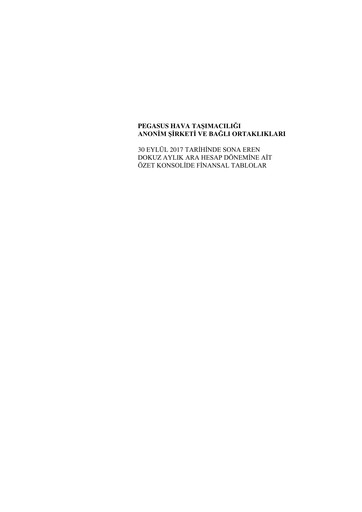 Miniature Pegasus Airlines
 Bilan financier 2017-9m