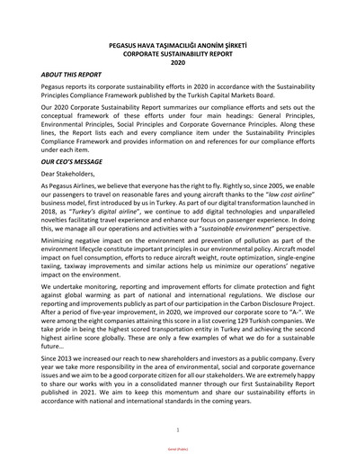 Thumbnail Pegasus Airlines
 Sustainability Report 2020