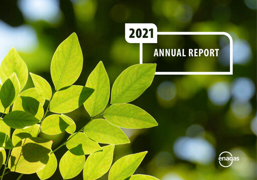 Thumbnail Enagás
 Annual Report 2021