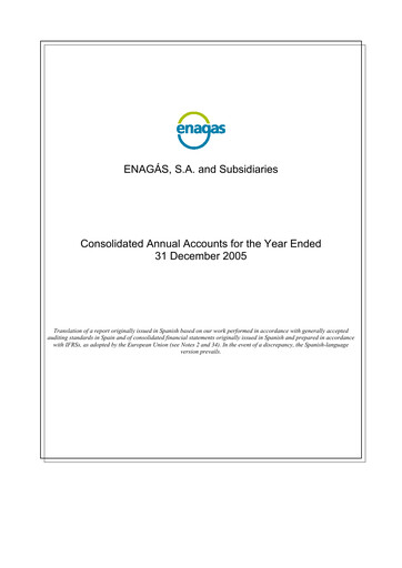 Thumbnail Enagás
 Financial Statement 2005