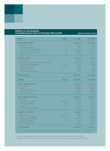 Thumbnail Enagás
 Financial Statement 2006