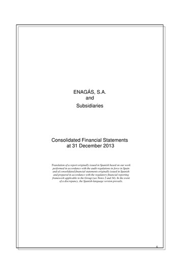 Thumbnail Enagás
 Financial Statement 2013