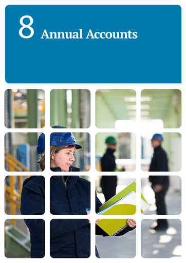 Thumbnail Enagás
 Financial Statement 2017