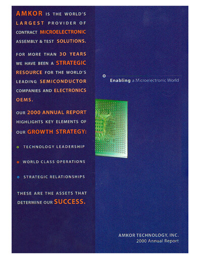 Vorschaubild Amkor Technology
 Jahresbericht 2000