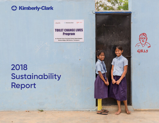 Miniature Kimberly-Clark Rapport de durabilité 2018