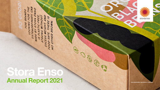 Thumbnail Stora Enso
 Annual Report 2021