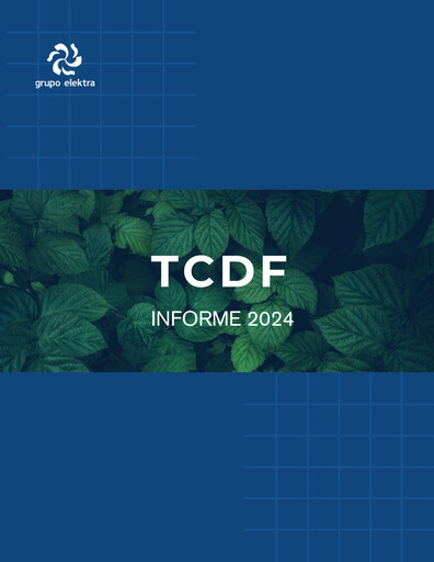 Thumbnail Grupo Elektra
 ESG Report 2024