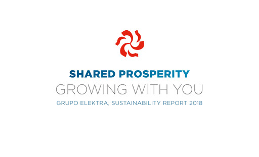 Thumbnail Grupo Elektra
 Sustainability Report 2018
