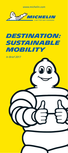 Thumbnail Michelin Sustainability Report 2017