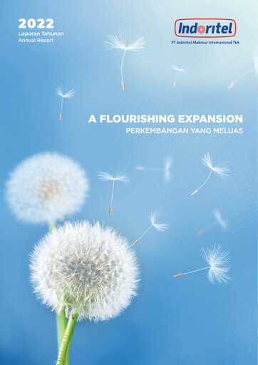 Miniature Indoritel Rapport annuel 2022