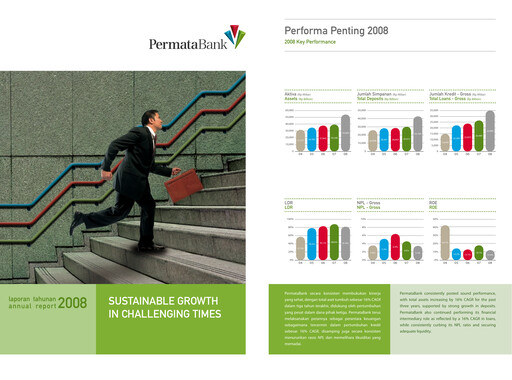 Thumbnail Permata Bank Annual Report 2008