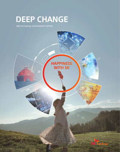 Miniature SK Group Rapport de durabilité 2017