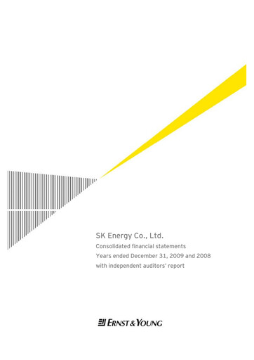 Thumbnail SK Innovation Financial Statement 2009