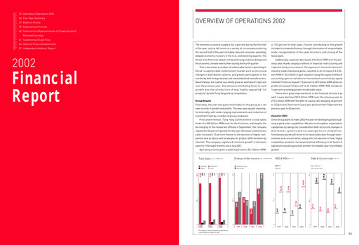 Thumbnail ORION Financial Statement 2002