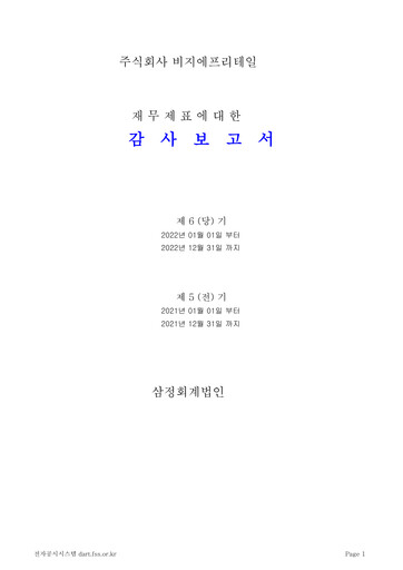 Thumbnail BGF Retail Financial Statement 2022