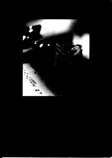 Thumbnail New World Development Company Annual Report 1992