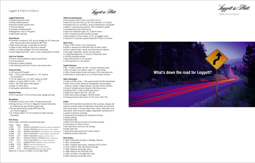 Vorschaubild Leggett & Platt

 Jahresbericht 2006