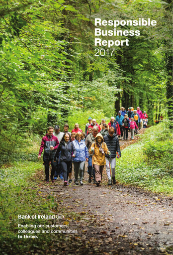 Thumbnail Bank of Ireland Group Sustainability Report 2017