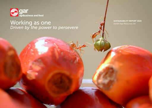 Thumbnail Golden Agri-Resources Sustainability Report 2020