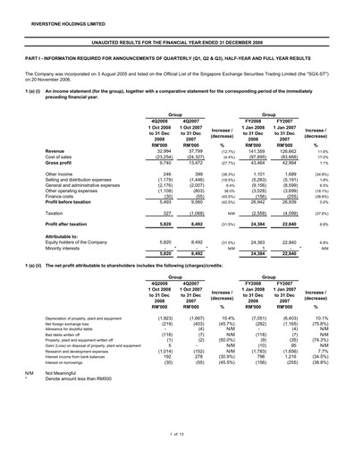 Thumbnail Riverstone Holdings Financial Statement 2008