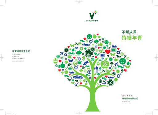 Thumbnail BOE Varitronix Annual Report 2013