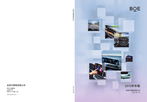 Thumbnail BOE Varitronix Annual Report 2019