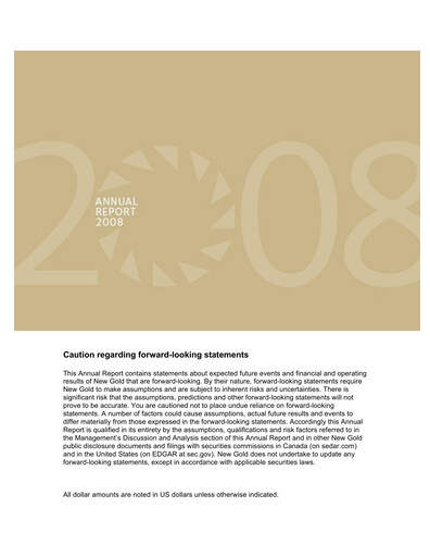 Thumbnail New Gold Annual Report 2008