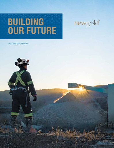 Thumbnail New Gold Annual Report 2014