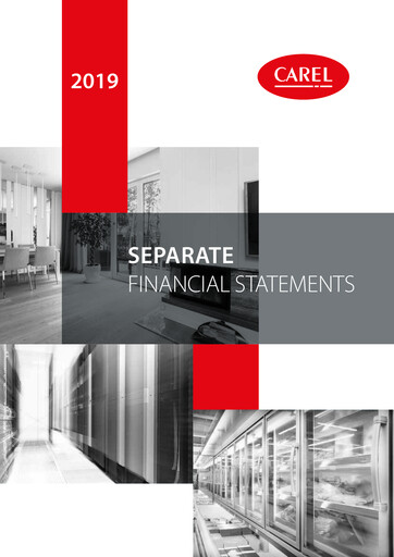 Thumbnail Carel Industries Financial Statement 2019