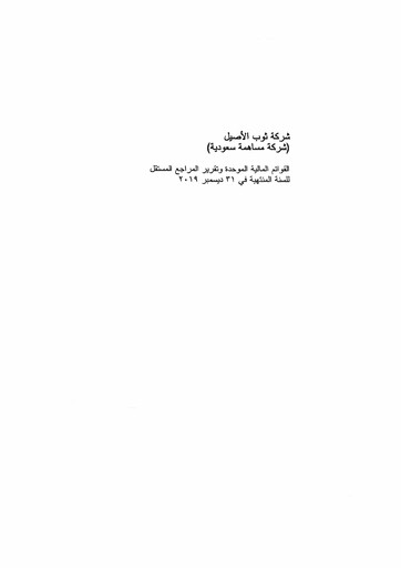 Thumbnail Thob Al Aseel Company Financial Statement 2019