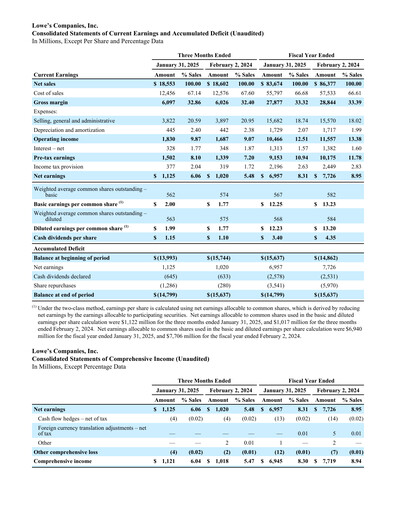 Thumbnail Lowe's Companies Financial Statement 2024