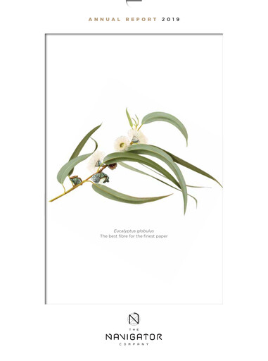 Thumbnail The Navigator Company
 Annual Report 2019