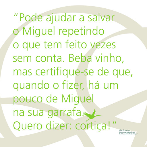 Thumbnail Corticeira Amorim Annual Report 2008
