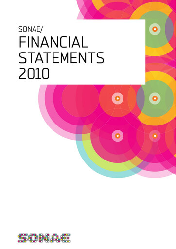 Miniature Sonae Bilan financier 2010