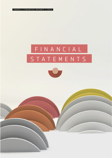 Miniature Sonae Bilan financier 2013