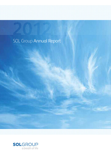 Miniature SOL S.p.A. Rapport annuel 2012