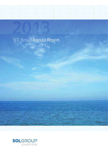 Miniature SOL S.p.A. Rapport annuel 2013