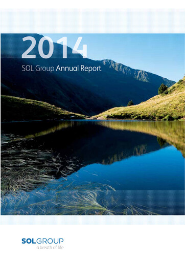 Miniature SOL S.p.A. Rapport annuel 2014
