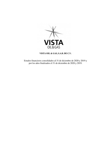 Thumbnail Vista Energy Financial Statement 2020-2019