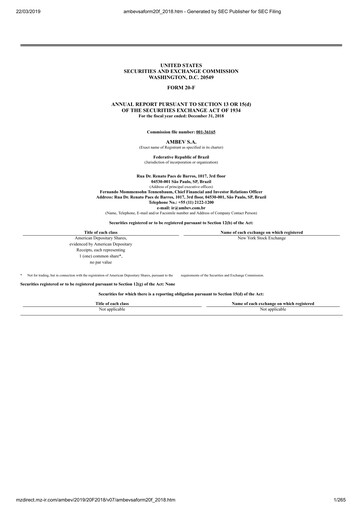 Thumbnail Ambev Annual Report 2018