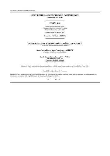 Thumbnail Ambev Quarterly Report 2010-q4