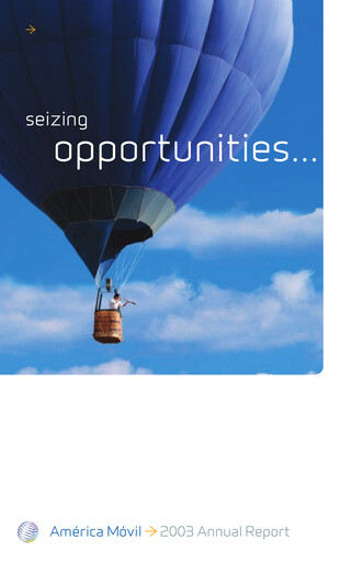 Miniature America Movil Rapport annuel 2003