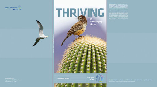 Miniature America Movil Rapport annuel 2008