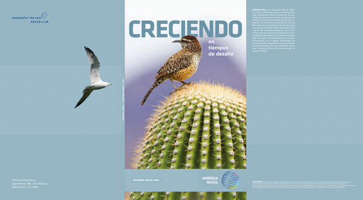 Thumbnail America Movil Annual Report 2008