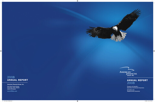Vorschaubild American Financial Group
 Jahresbericht 2008