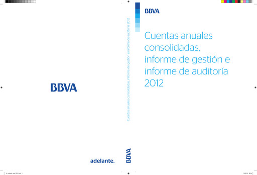 Thumbnail Banco Bilbao Vizcaya Argentaria Financial Statement 2012