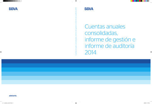 Thumbnail Banco Bilbao Vizcaya Argentaria Financial Statement 2014