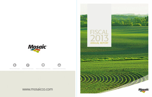 Thumbnail The Mosaic Company Annual Report 2012-2013