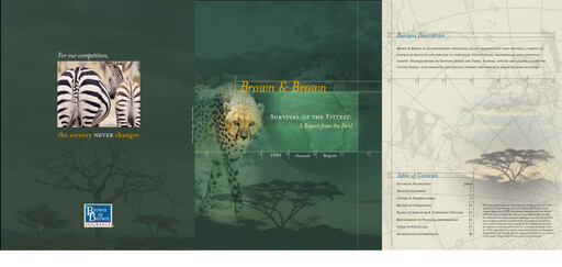 Thumbnail Brown & Brown
 Annual Report 1999